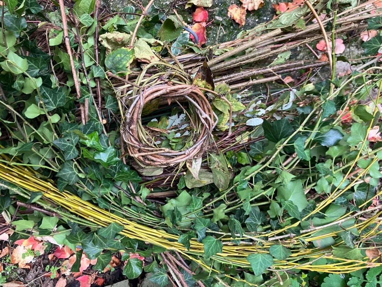 Fabriquez votre mangeoire à oiseaux en vannerie sauvage sur une journée avec Dorianne - Image n°5 - Wecandoo