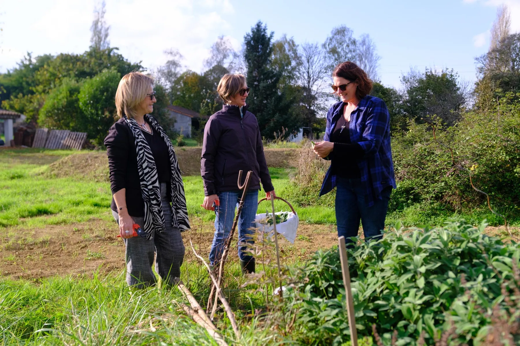 Découvrez l'herboristerie et la cuisine sauvage avec Dorianne - Image n°3 - Wecandoo