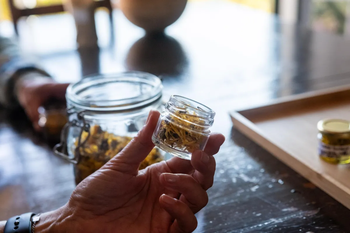 Découvrez l'herboristerie et la cuisine sauvage