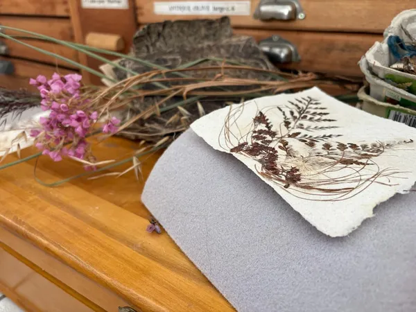 Réalisez votre papier recyclé avec Marielle - Image n°2 - Wecandoo