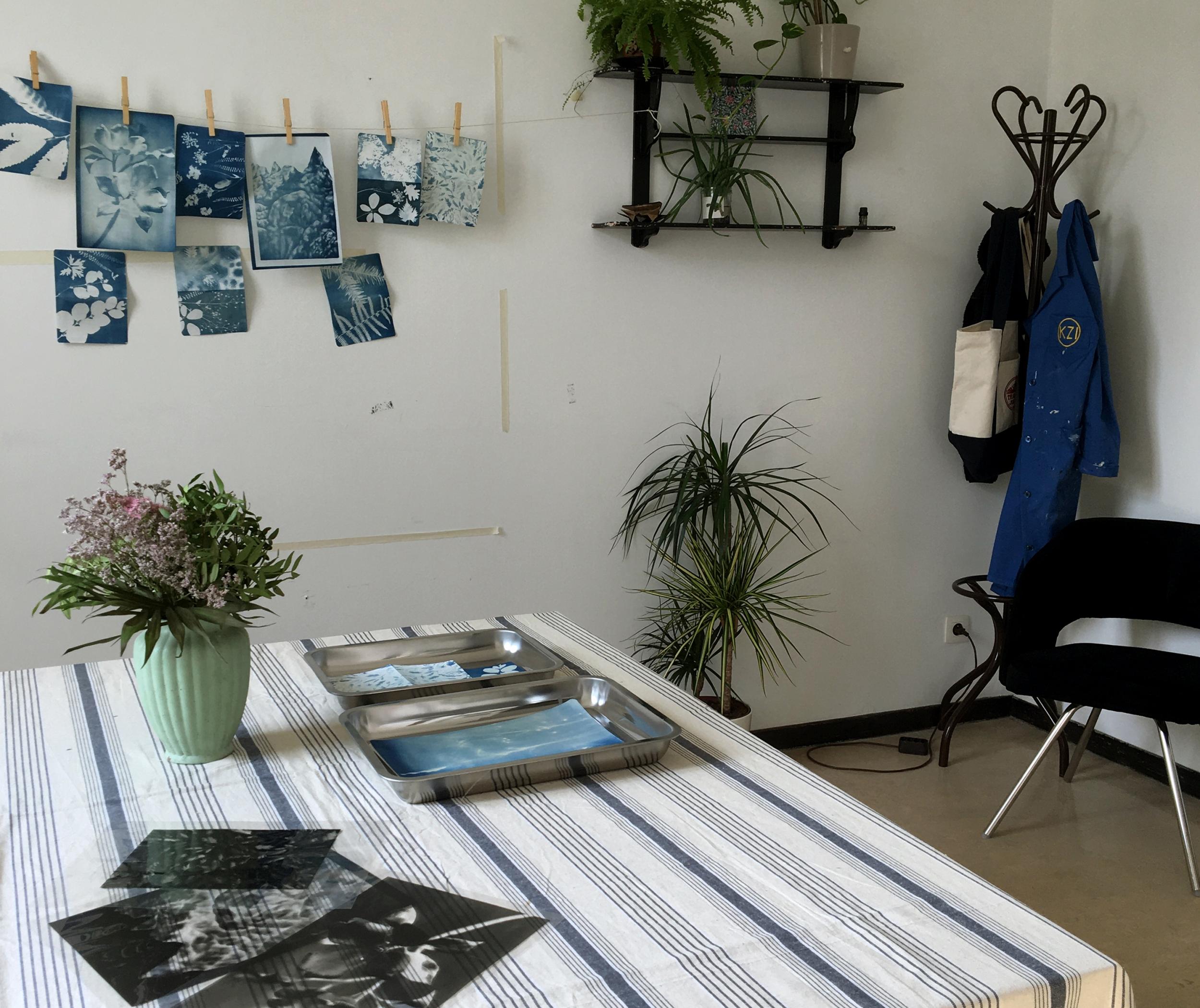 Décorez votre couverture du carnet en cyanotype avec Marie - Image n°10 - Wecandoo