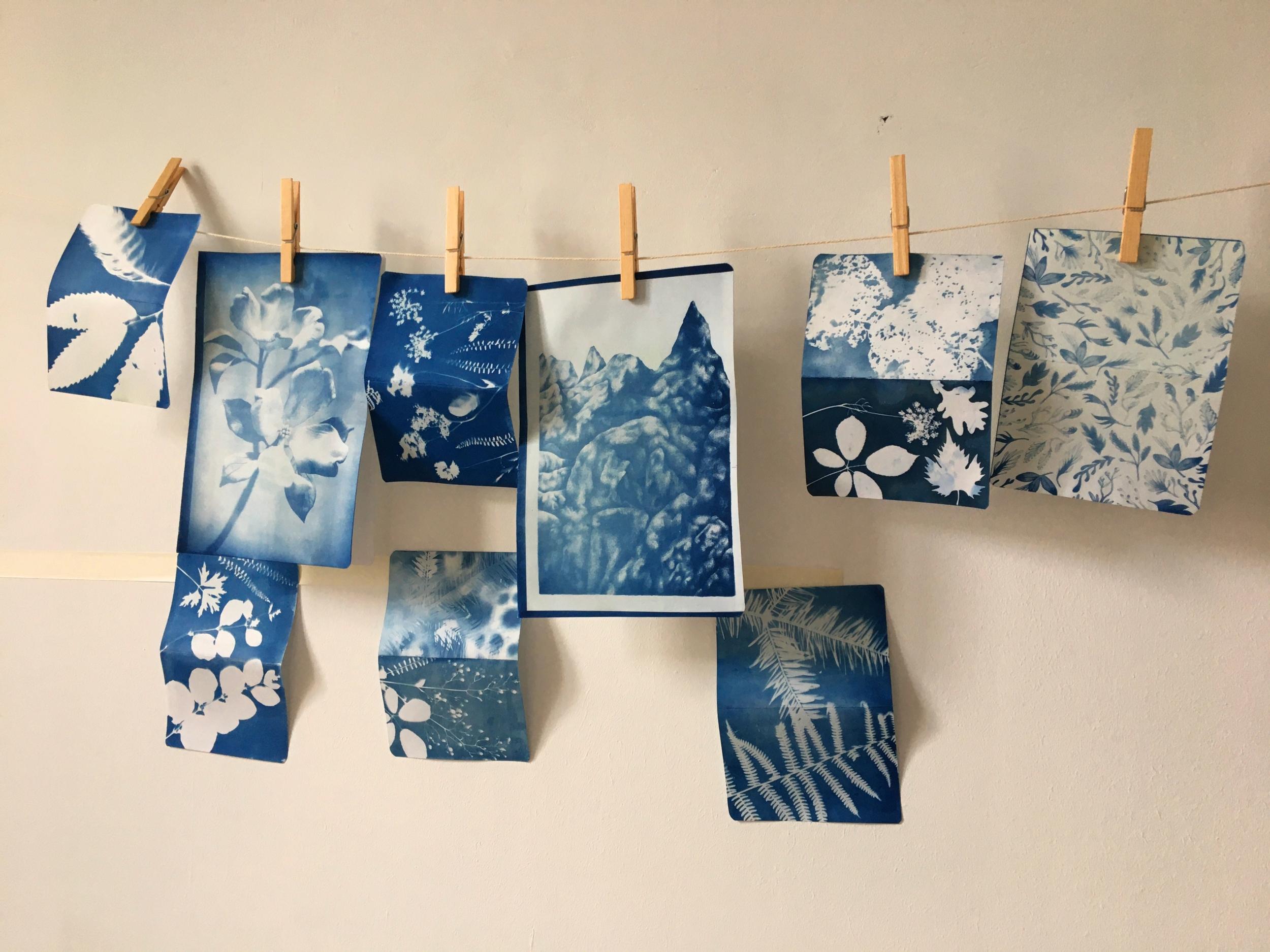 Décorez votre couverture du carnet en cyanotype avec Marie - Image n°8 - Wecandoo