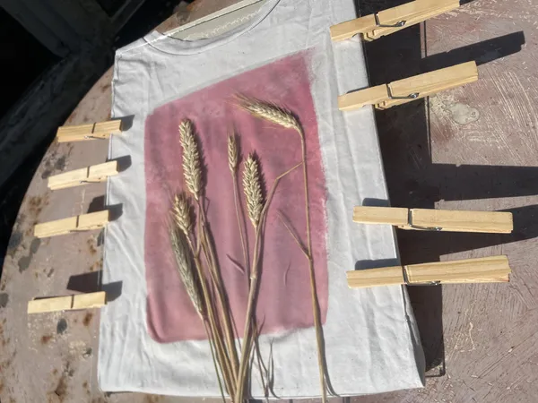 Initiez-vous au cyanotype avec Marie - Afbeelding nr. 5 - Wecandoo