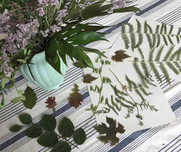 Initiez-vous au cyanotype avec Marie - Afbeelding nr. 2 - Wecandoo