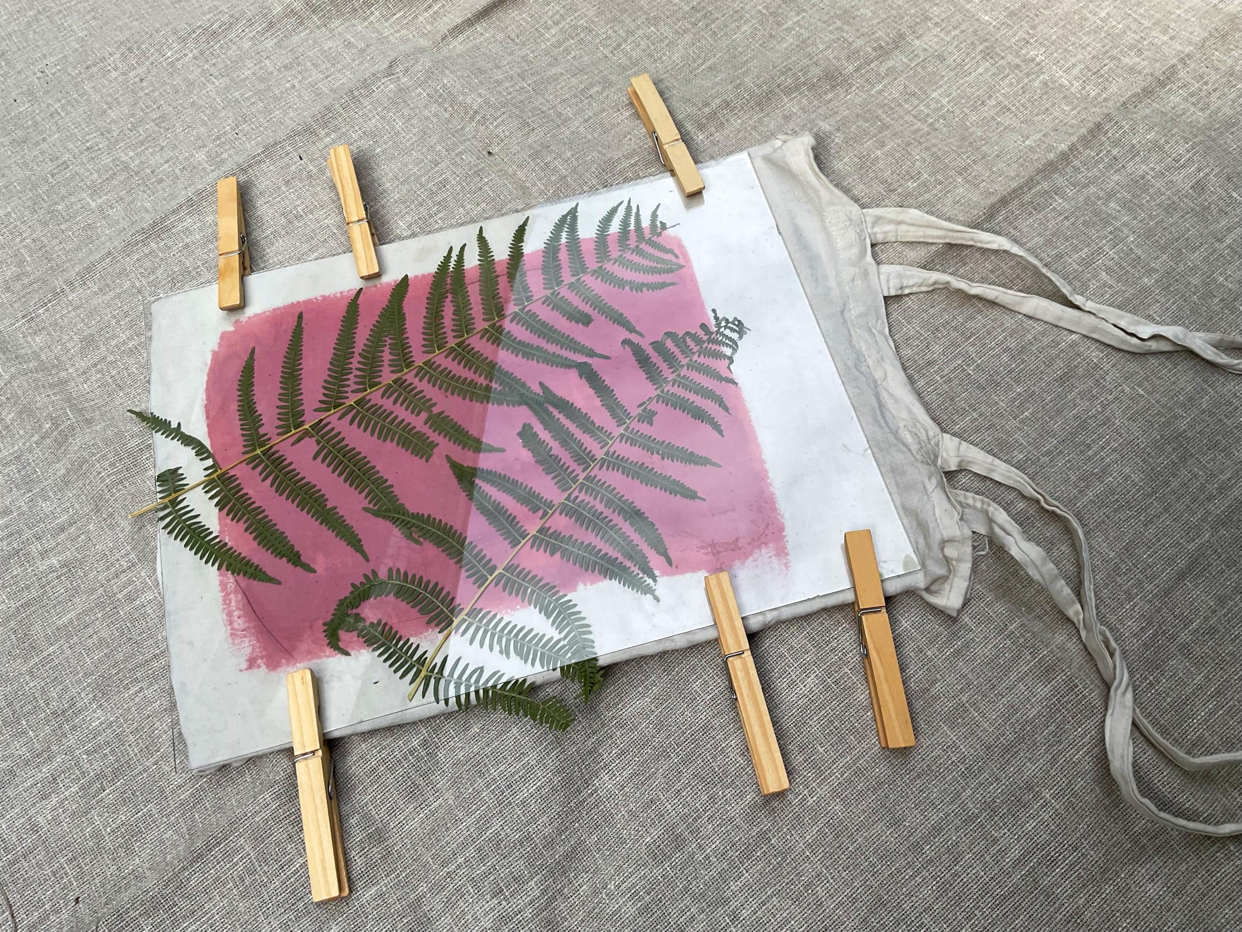 Initiez-vous au cyanotype in Brussels