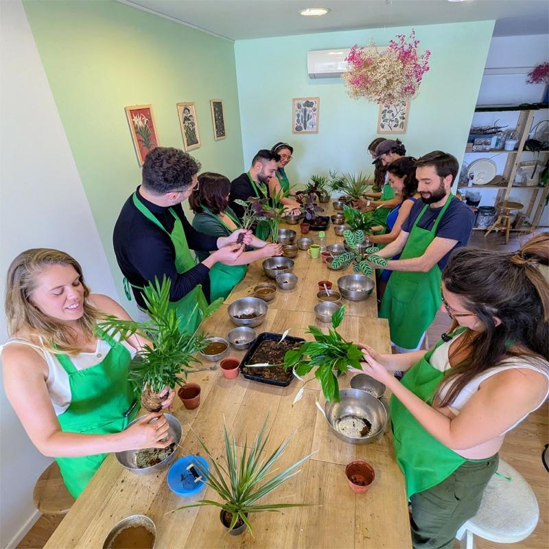 Créez un kokedama - Afbeelding nr. 4 - Wecandoo