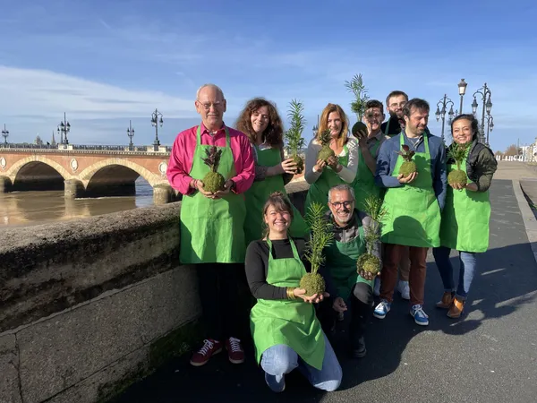 Enchantez votre équipe et réalisez chacun votre kokedama avec Lina - Image n°4 - Wecandoo