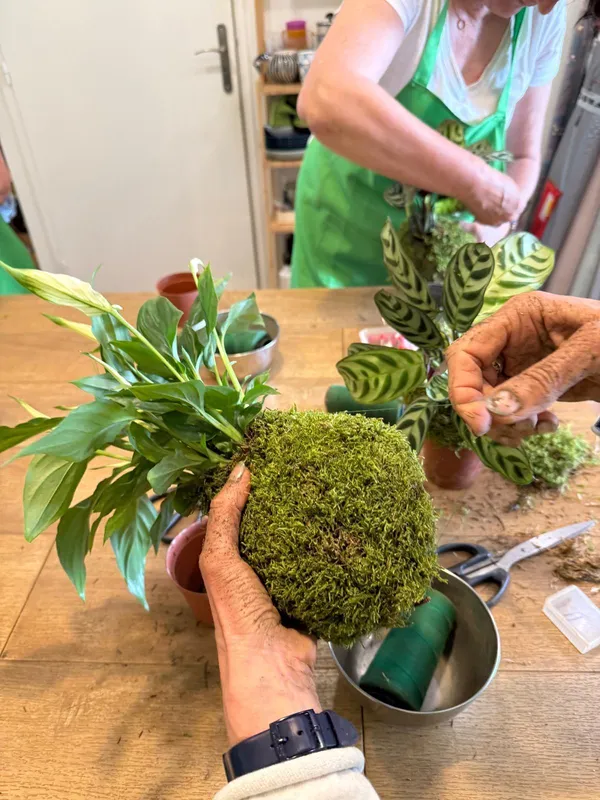 Enchantez votre équipe et réalisez chacun votre kokedama avec Lina - Image n°3 - Wecandoo