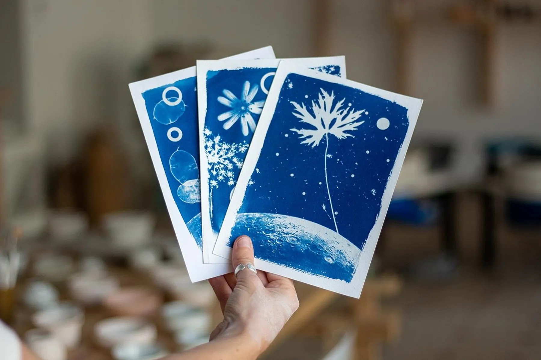 Initiez-vous au cyanotype avec Fañch - Image n°2 - Wecandoo