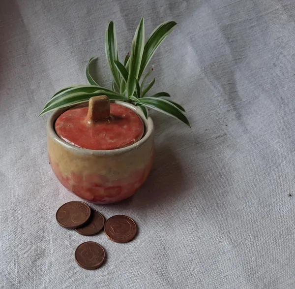 Façonnez vos boites en terre cuite avec Viviane - Image n°3 - Wecandoo