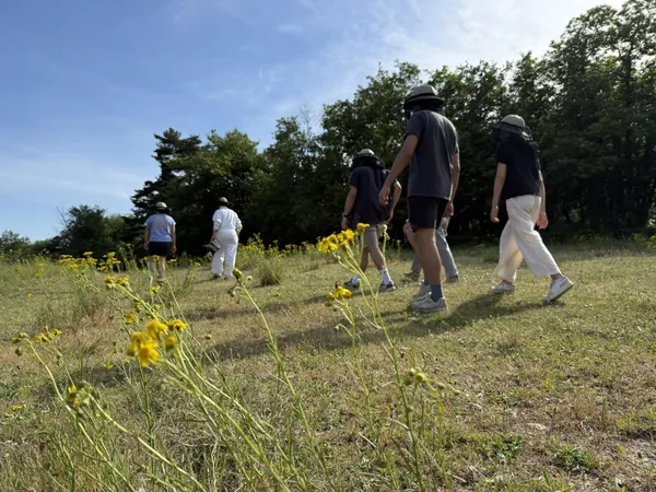 Initiez-vous à l'apiculture avec Claudia - Image n°2 - Wecandoo