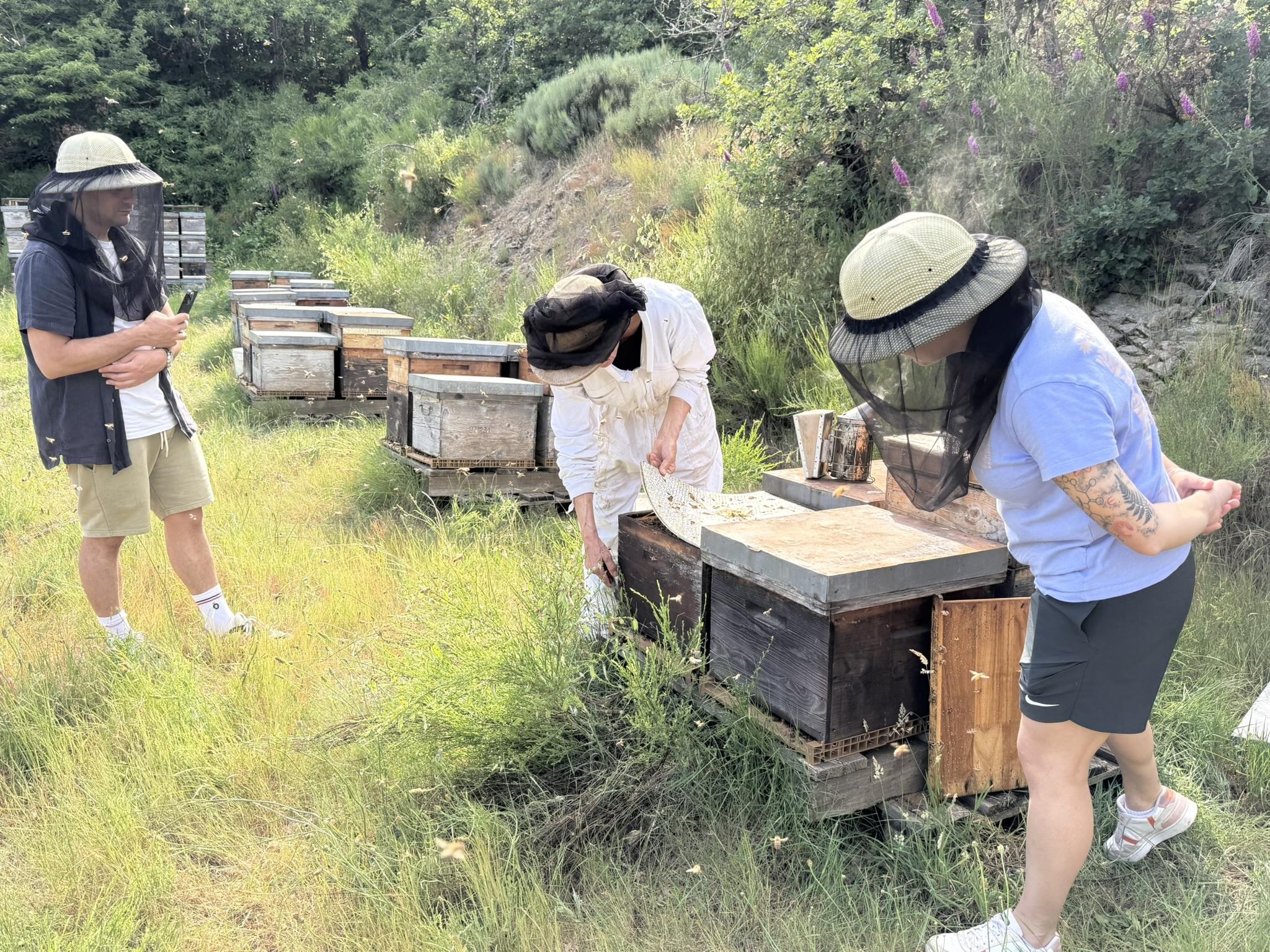 Initiez-vous à l'apiculture avec Claudia - Image n°4 - Wecandoo