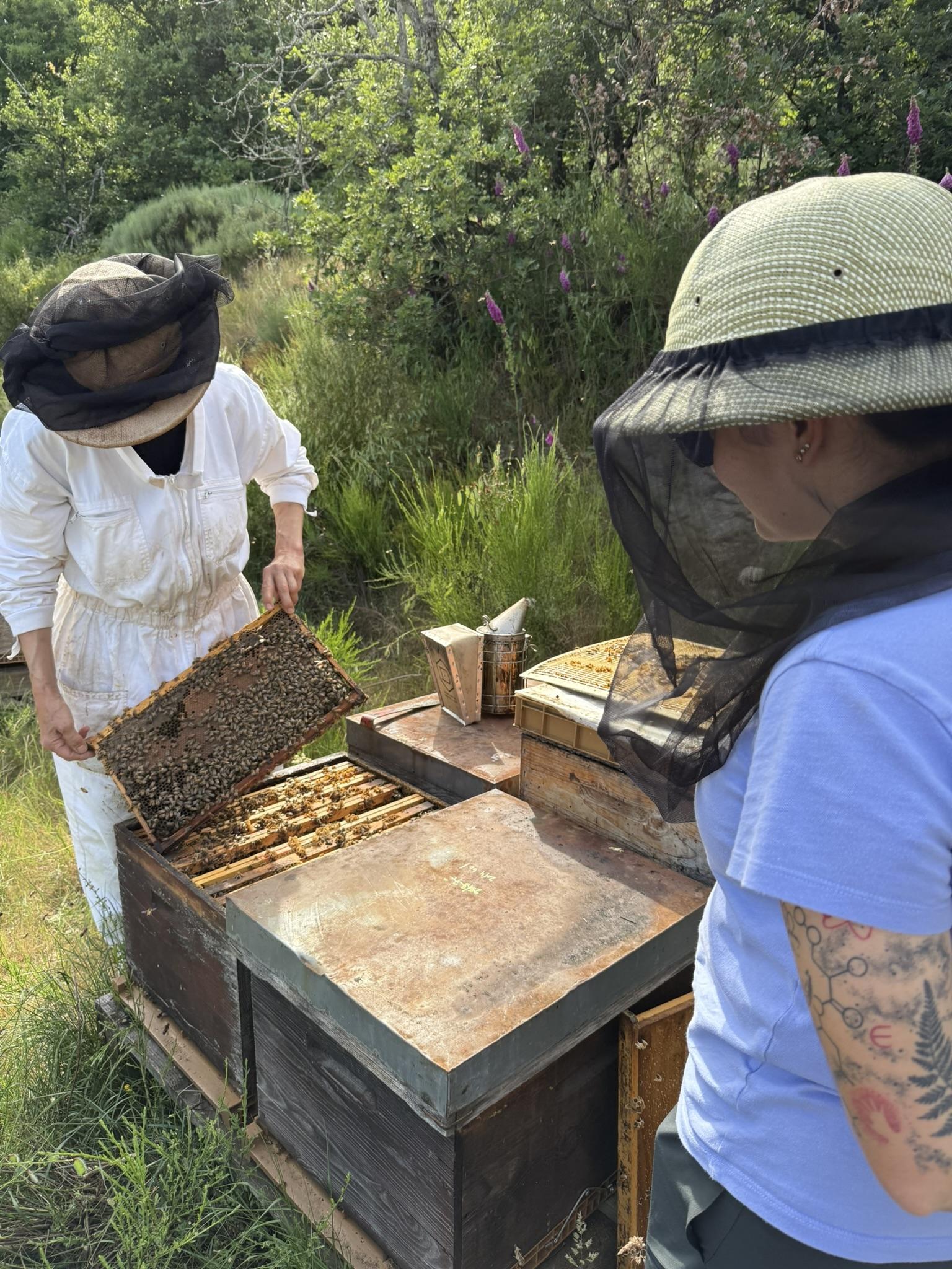 Initiez-vous à l'apiculture avec Claudia - Image n°8 - Wecandoo