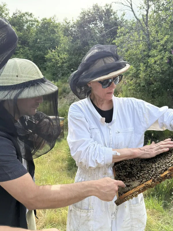 Initiez-vous à l'apiculture avec Claudia - Image n°3 - Wecandoo