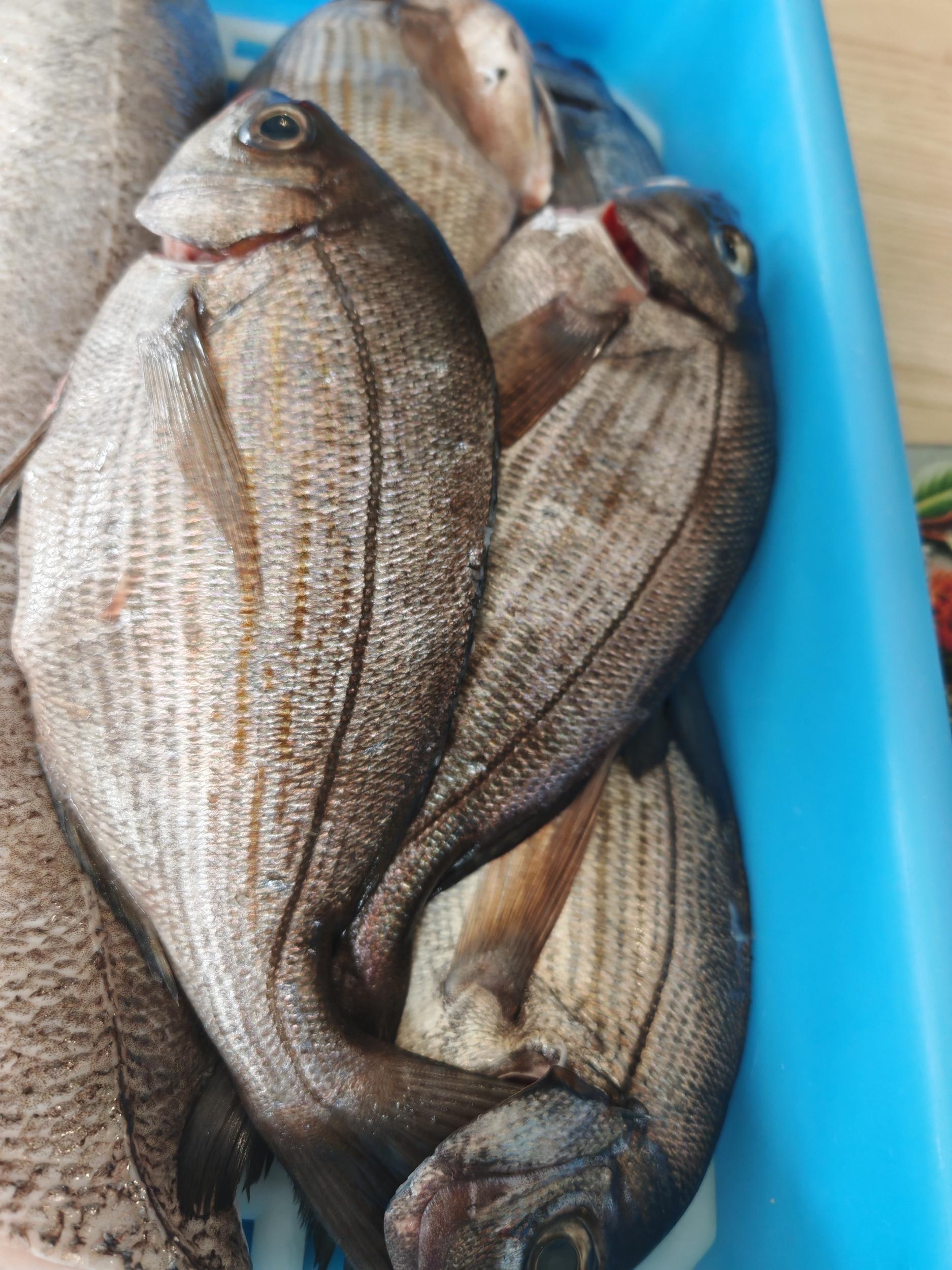 Maîtrisez les techniques pour un poisson parfait avec Maeva - Image n°3 - Wecandoo