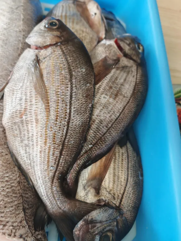 Maîtrisez les techniques pour un poisson parfait avec Maeva - Image n°3 - Wecandoo