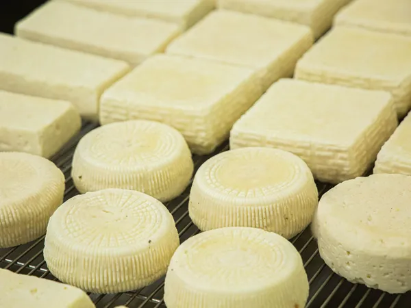 Fabriquez et dégustez des fromages de chèvre au sein d'un élevage caprin avec Mélisa - Image n°5 - Wecandoo