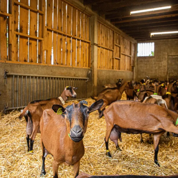 Atelier : 1 Rue Du Château
