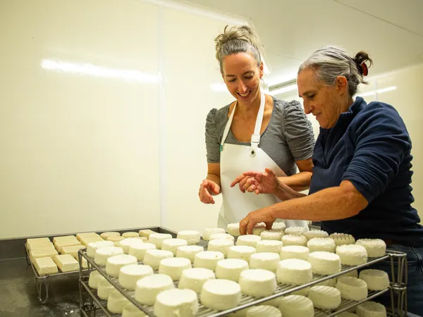 Fabriquez et dégustez des fromages de chèvre au sein d'un élevage caprin avec Mélisa - Image n°3 - Wecandoo