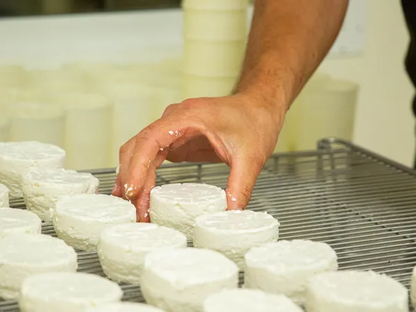 Fabriquez et dégustez des fromages de chèvre au sein d'un élevage caprin avec Mélisa - Image n°2 - Wecandoo