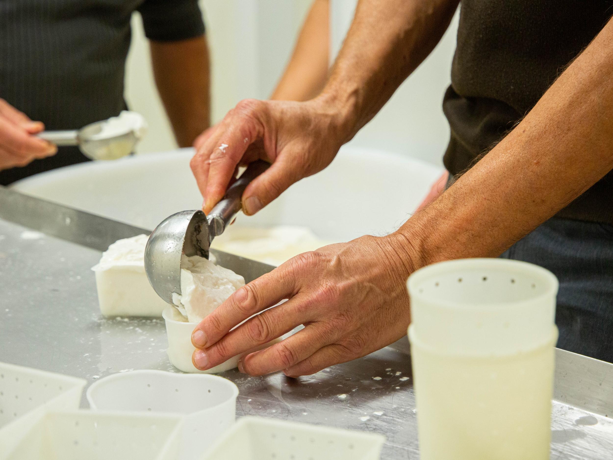 Découvrez la fabrication du fromage de chèvre avec Mélisa - Image n°6 - Wecandoo