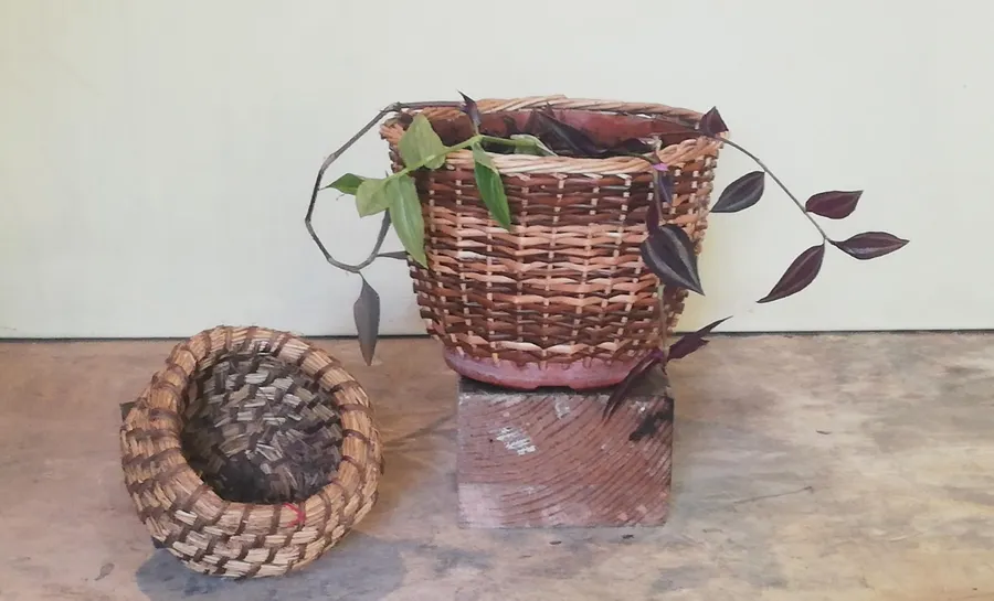 Initiez-vous à la vannerie avec Marie-Pierre - Image n°1 - Wecandoo