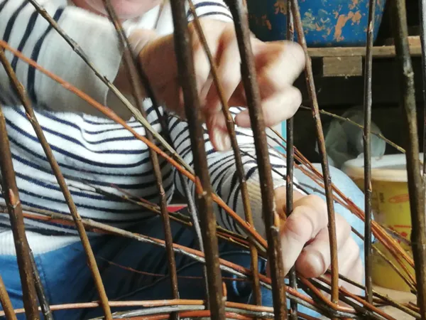 Fabriquez votre corbeille en osier de A à Z sur une journée avec Marie-Pierre - Image n°3 - Wecandoo