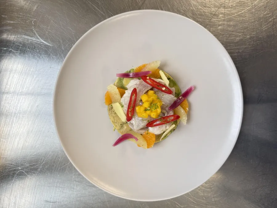 Réalisez votre ceviche de A à Z avec Housny - Image n°1 - Wecandoo