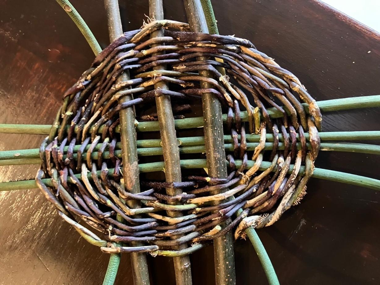 Découvrez la vannerie sauvage