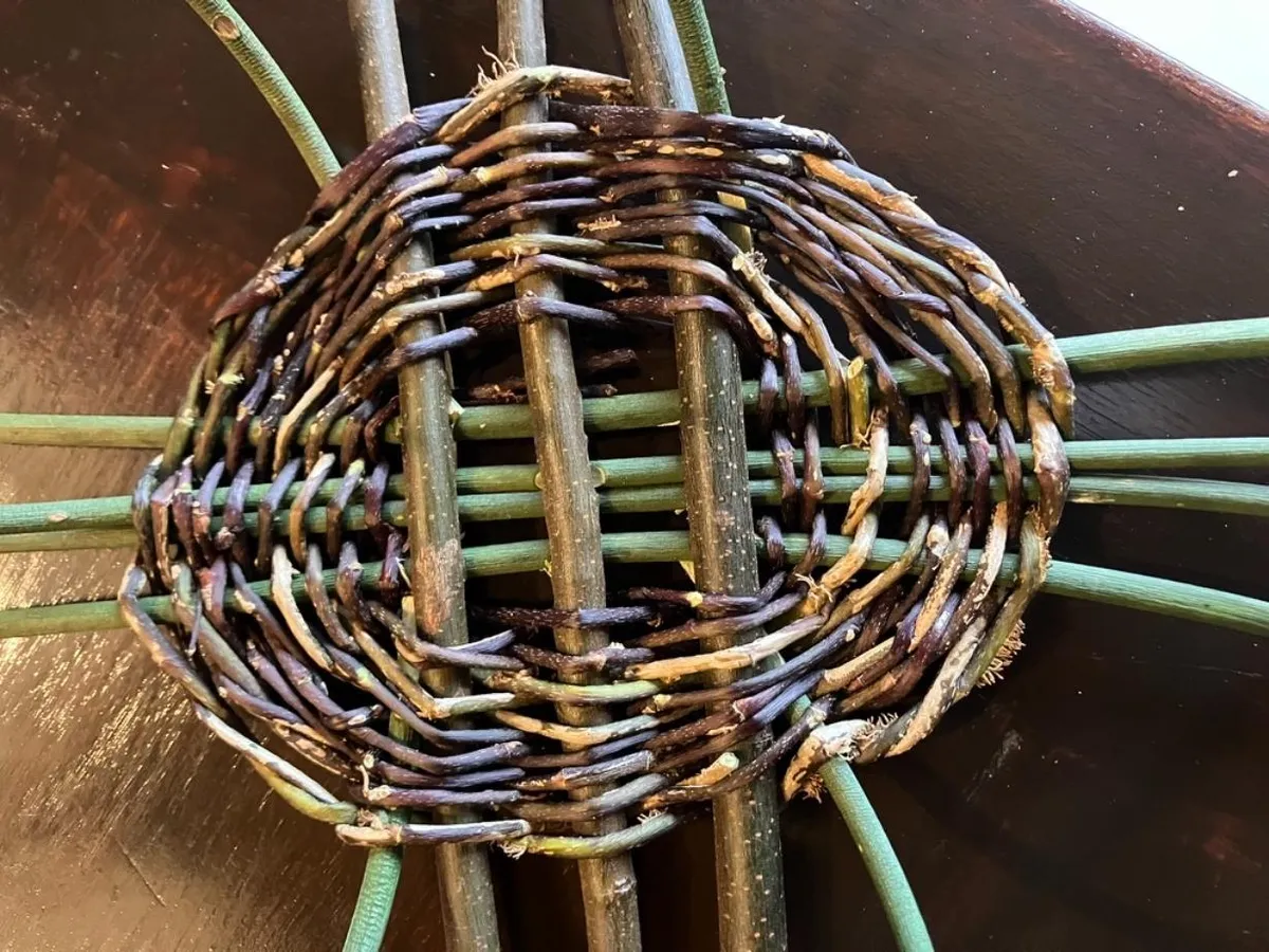 Découvrez la vannerie sauvage