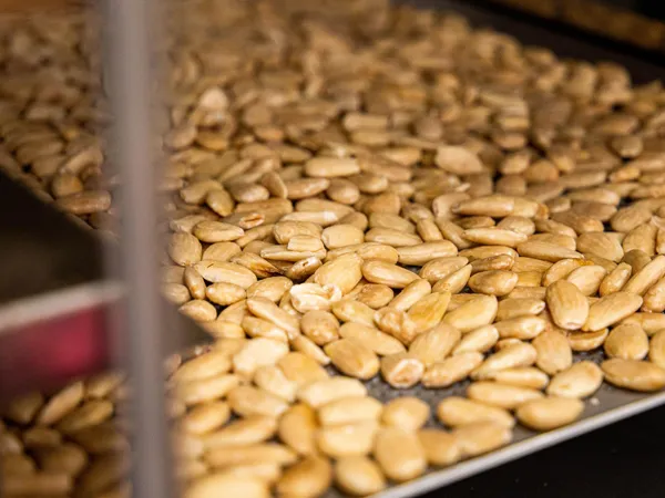 Dégustez le chocolat de la fève à la tablette avec Jonathan - Image n°1 - Wecandoo