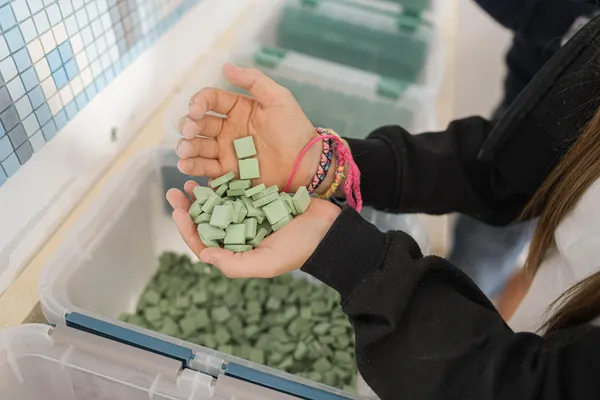 Réalisez votre tableau en carreaux de ciment avec David - Image n°2 - Wecandoo