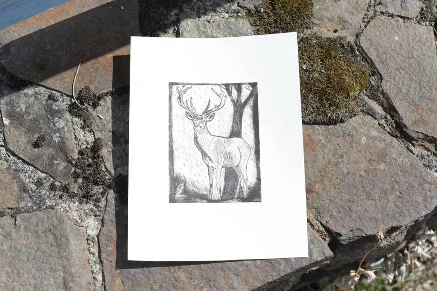 Initiez-vous à la gravure pointe sèche avec Anne - Image n°1 - Wecandoo