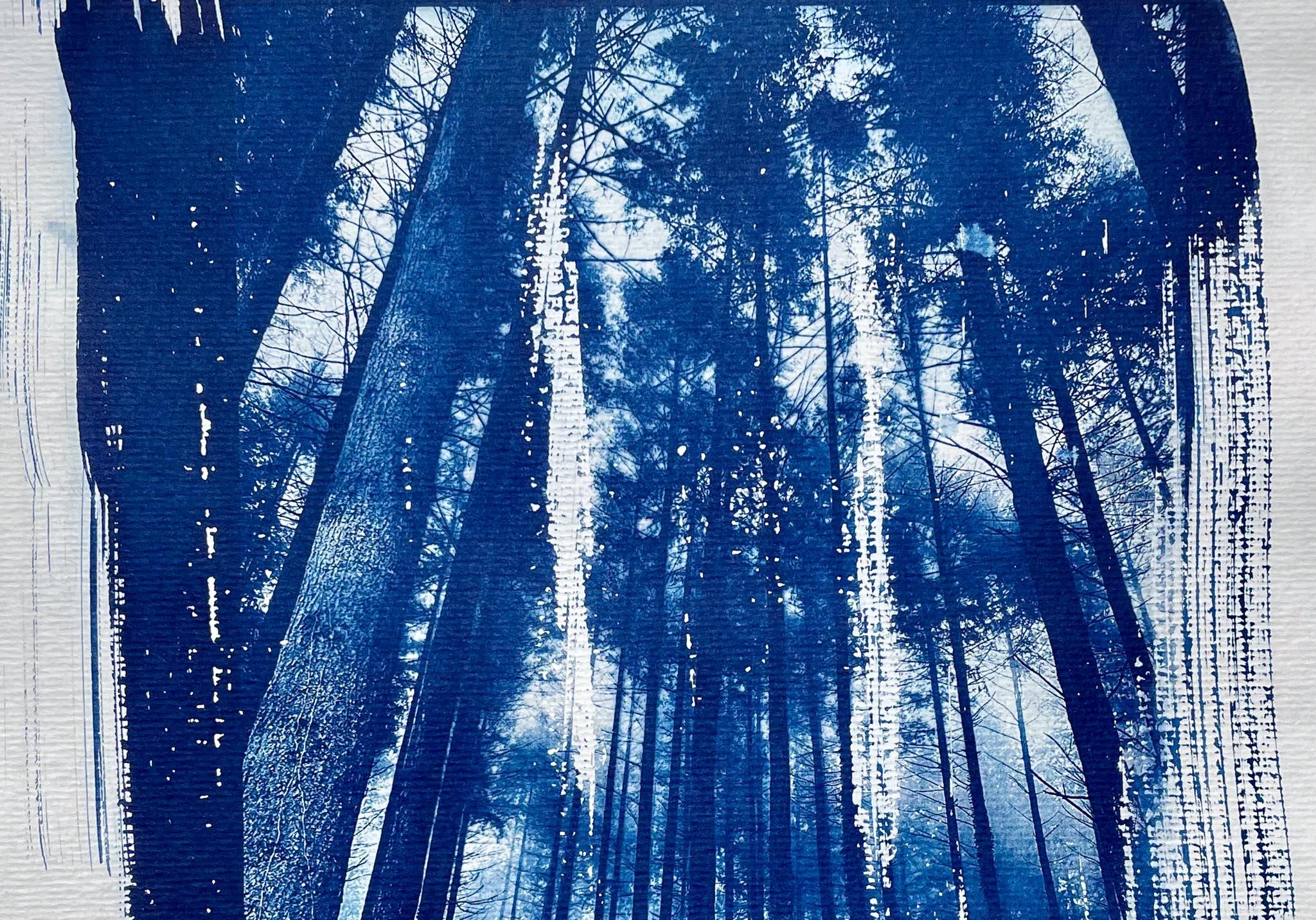 Créez vos œuvres en cyanotype autour d'un apéro avec Claire - Image n°1 - Wecandoo