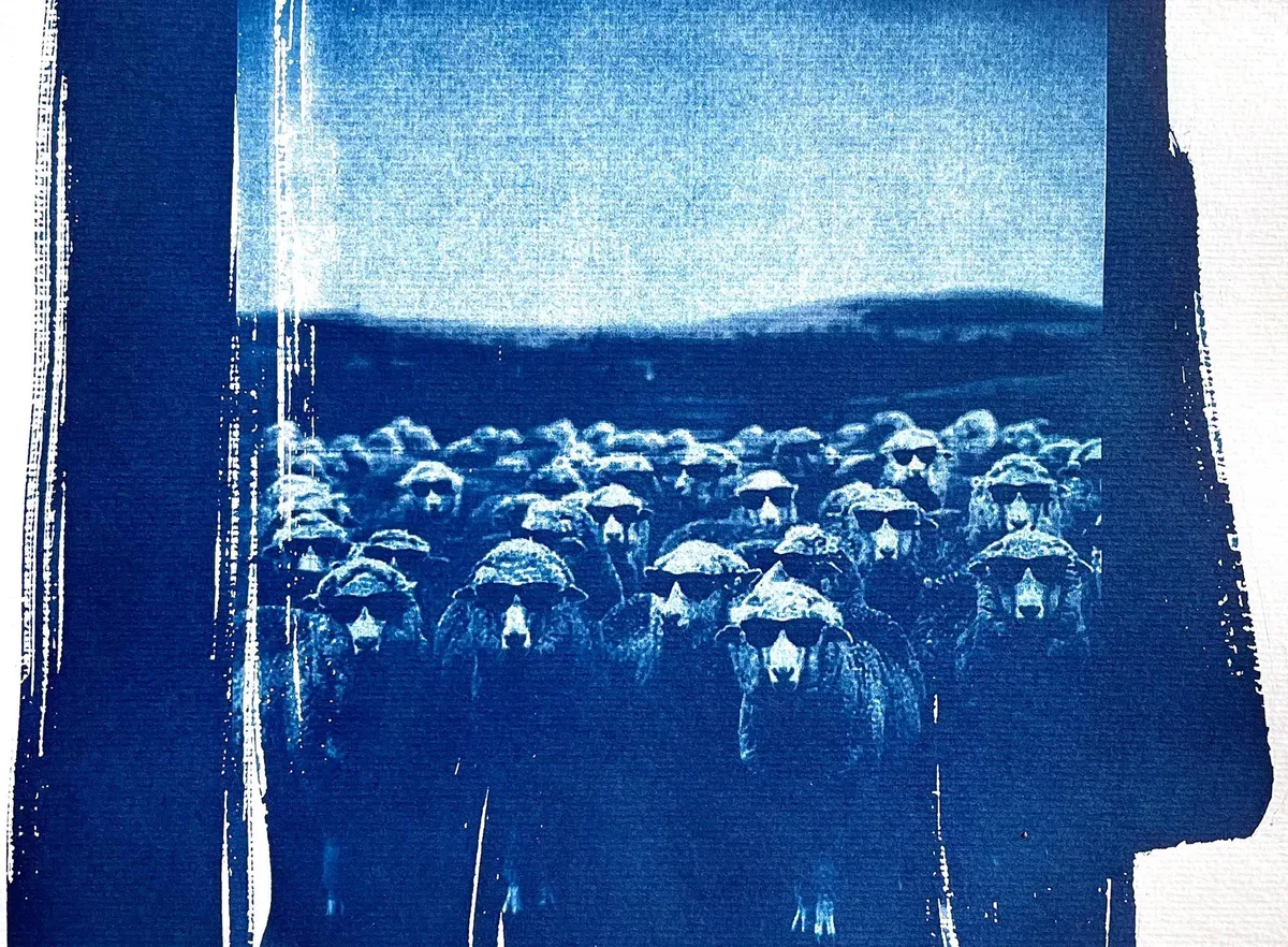 Créez vos œuvres en cyanotype autour d'un apéro