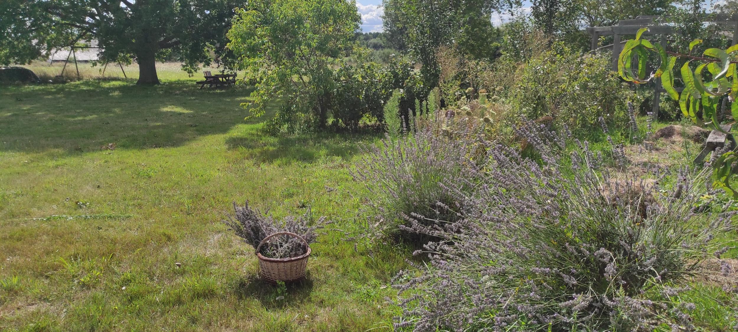 Réunissez votre équipe et participez à la création d'une butte de permaculture avec Blandine - Image n°12 - Wecandoo