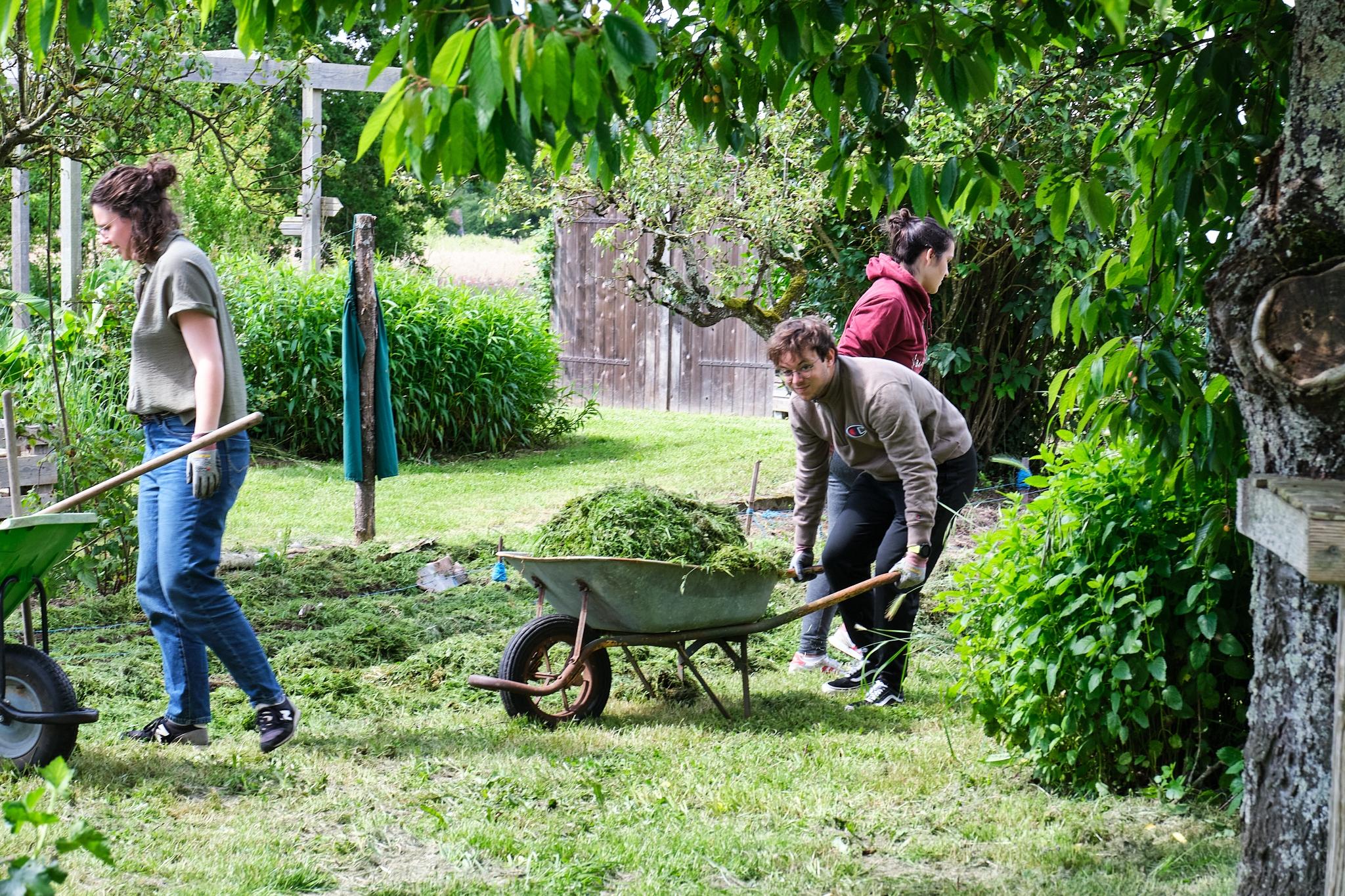 Réunissez votre équipe et participez à la création d'une butte de permaculture avec Blandine - Image n°4 - Wecandoo
