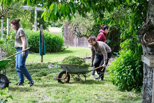 Réunissez votre équipe et participez à la création d'une butte de permaculture avec Blandine - Afbeelding nr. 4 - Wecandoo