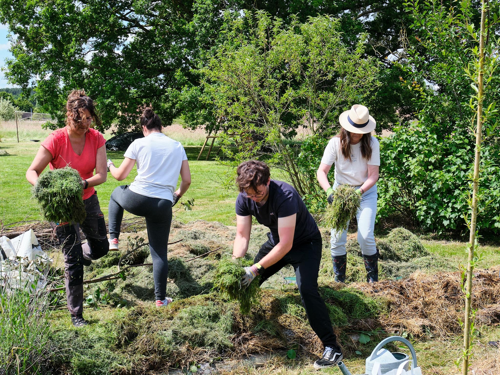 Réunissez votre équipe et participez à la création d'une butte de permaculture avec Blandine - Image n°7 - Wecandoo