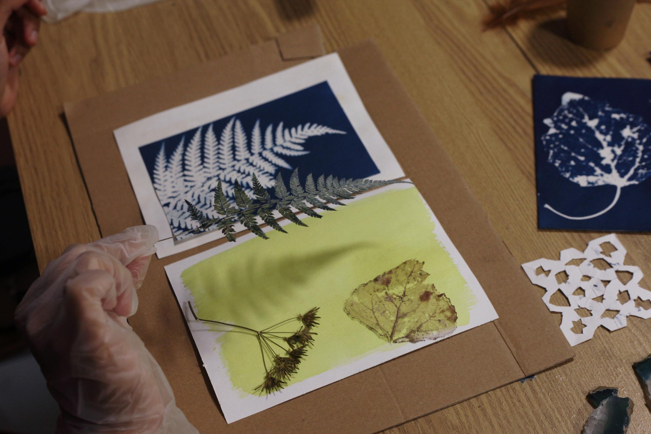 Initiez-vous à la cyanotypie à Paris