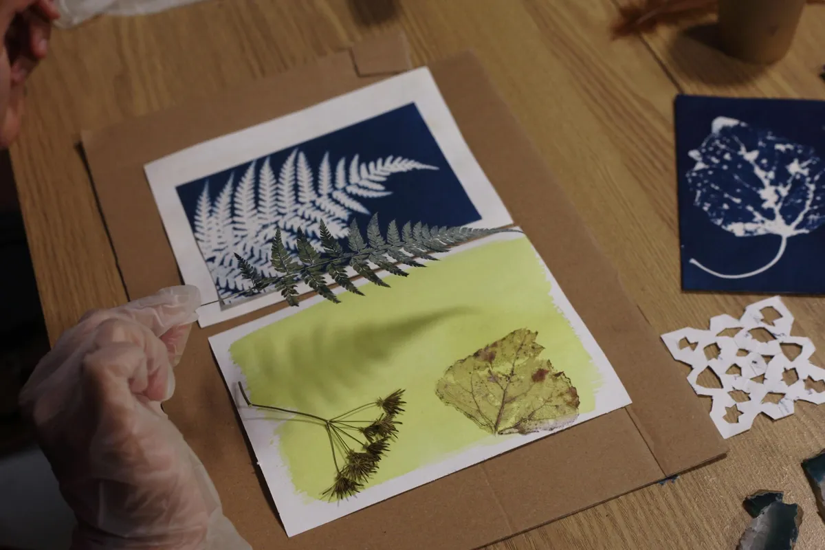 Initiez-vous à la cyanotypie