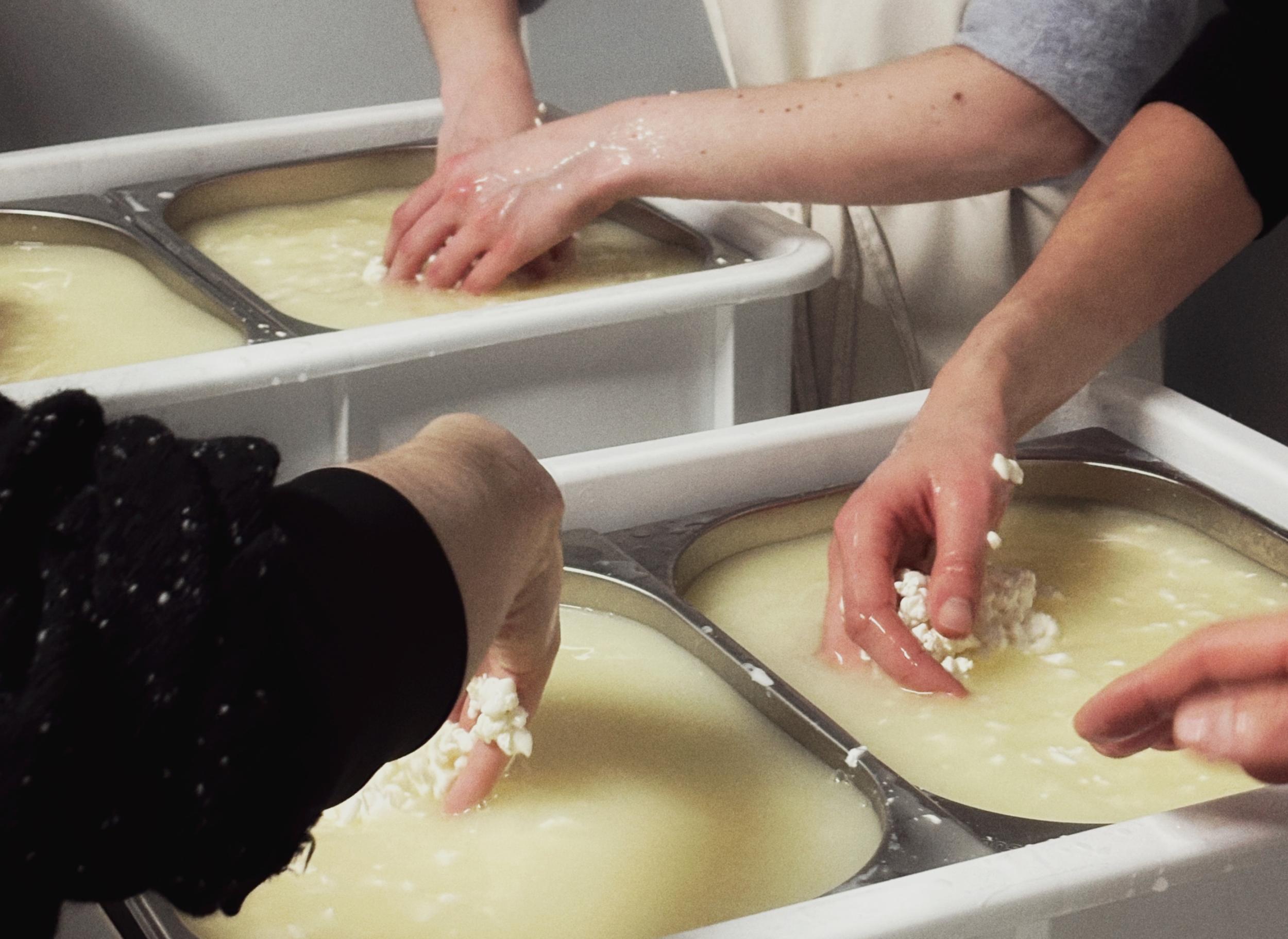 Rassemblez votre équipe et confectionnez votre meule de raclette avec Olivier et son équipe - Image n°2 - Wecandoo