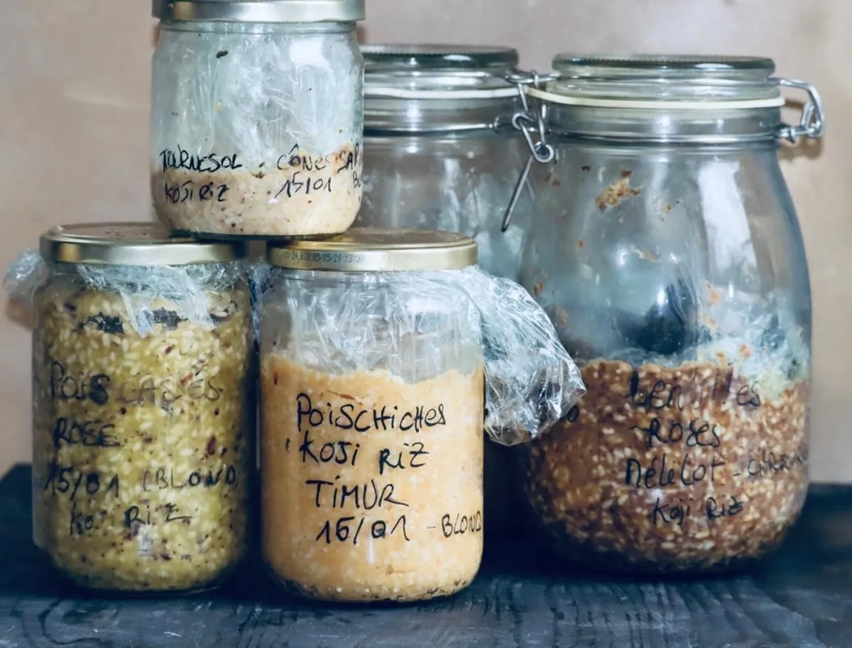 Fabriquez et cuisinez le miso