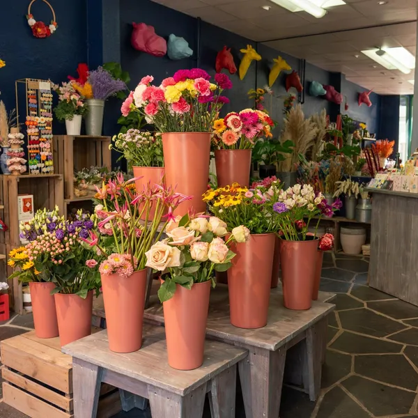 Atelier : 26 Rue Des Arènes