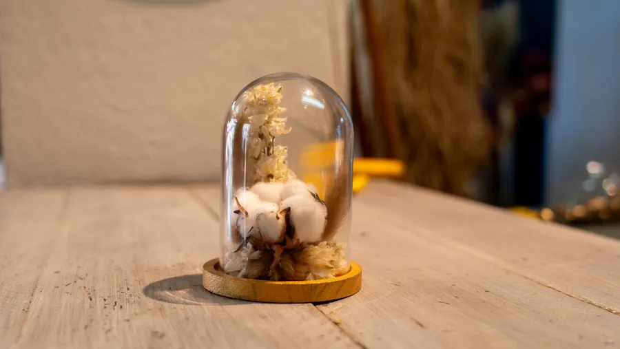 Apprenez à travailler les fleurs séchées avec Clémence - Image n°1 - Wecandoo