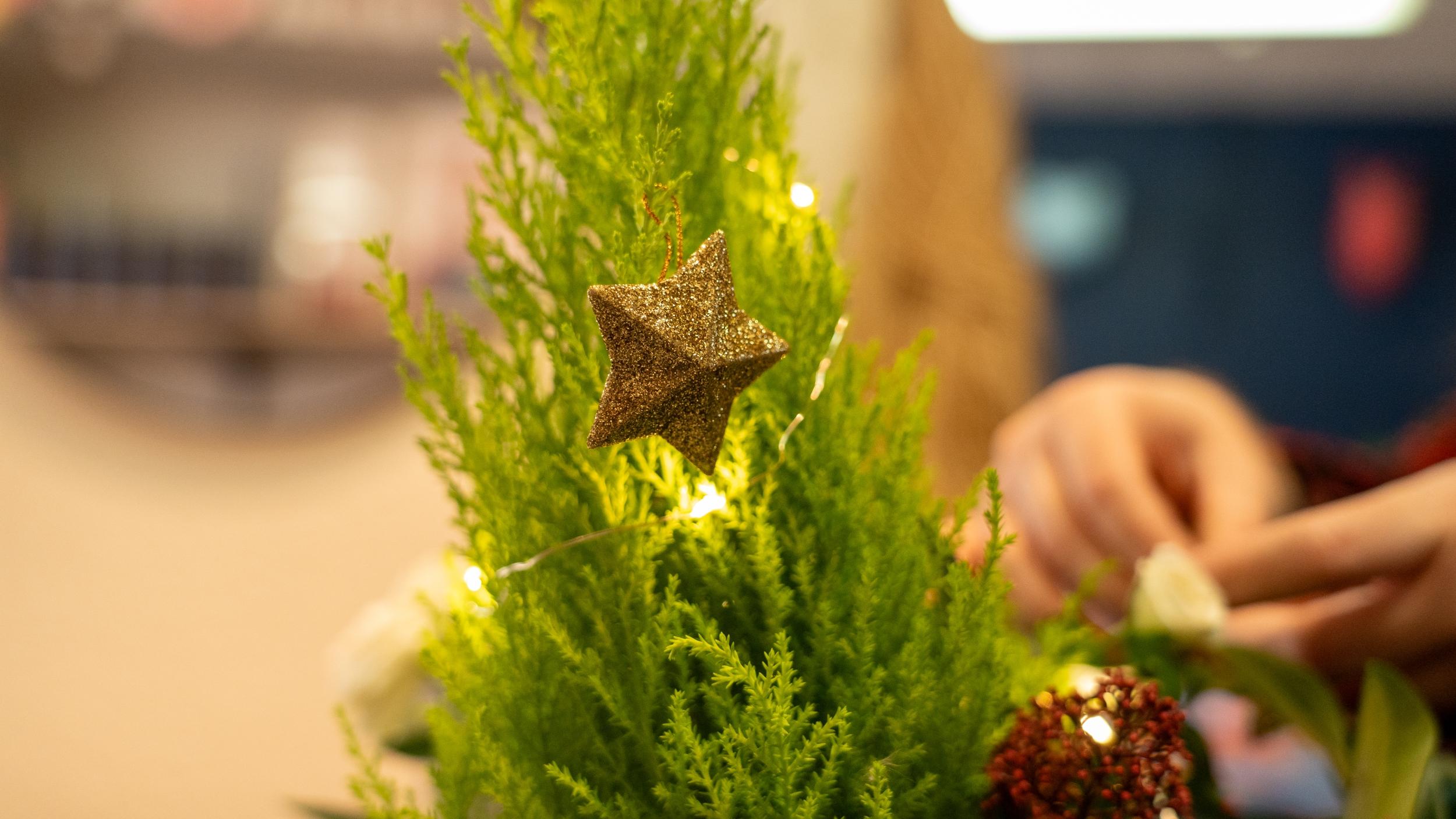 Réalisez une décoration de fête fleurie avec Clémence - Image n°5 - Wecandoo
