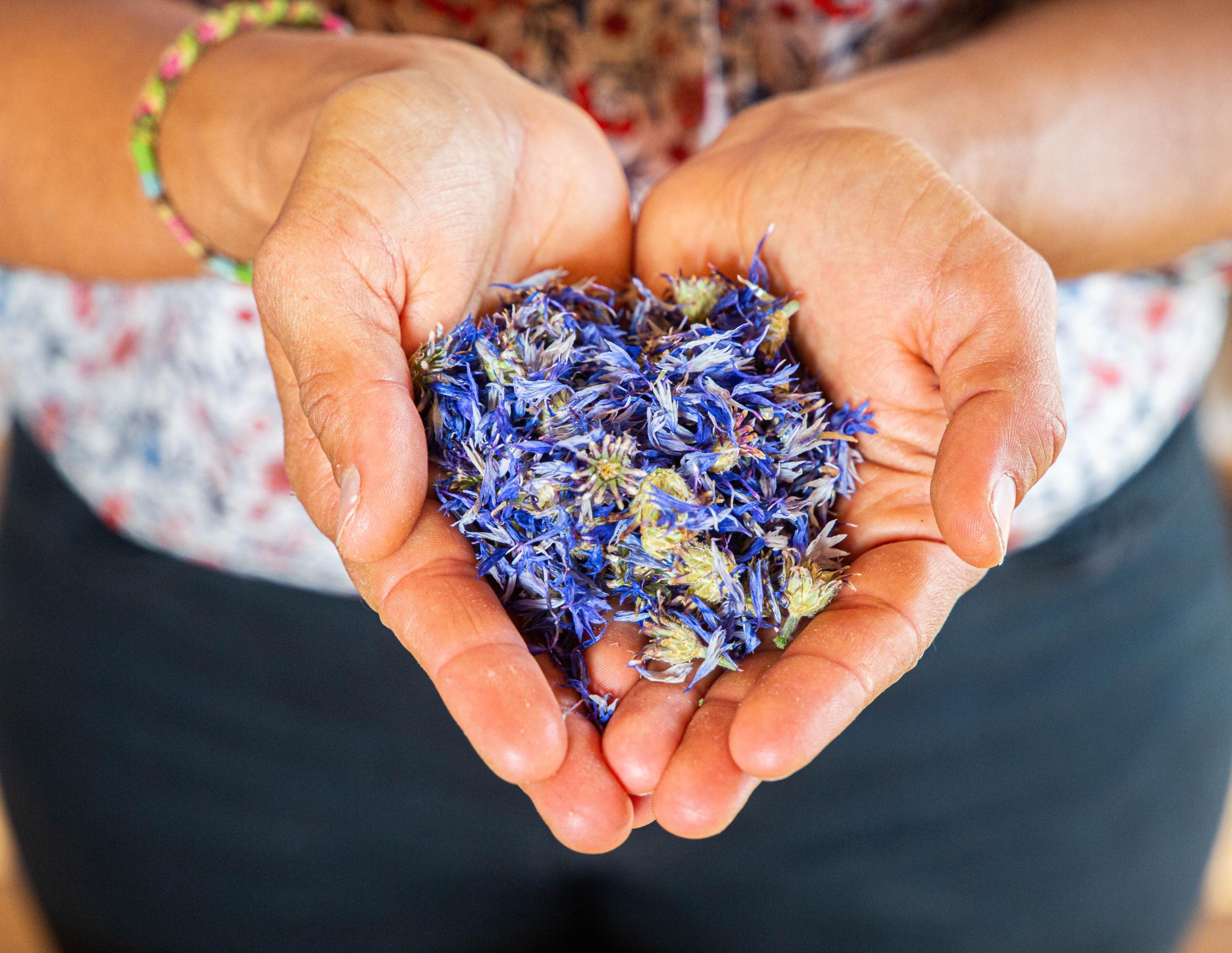 Initiez-vous à l'herboristerie et réalisez votre tisane avec Myriam - Image n°9 - Wecandoo