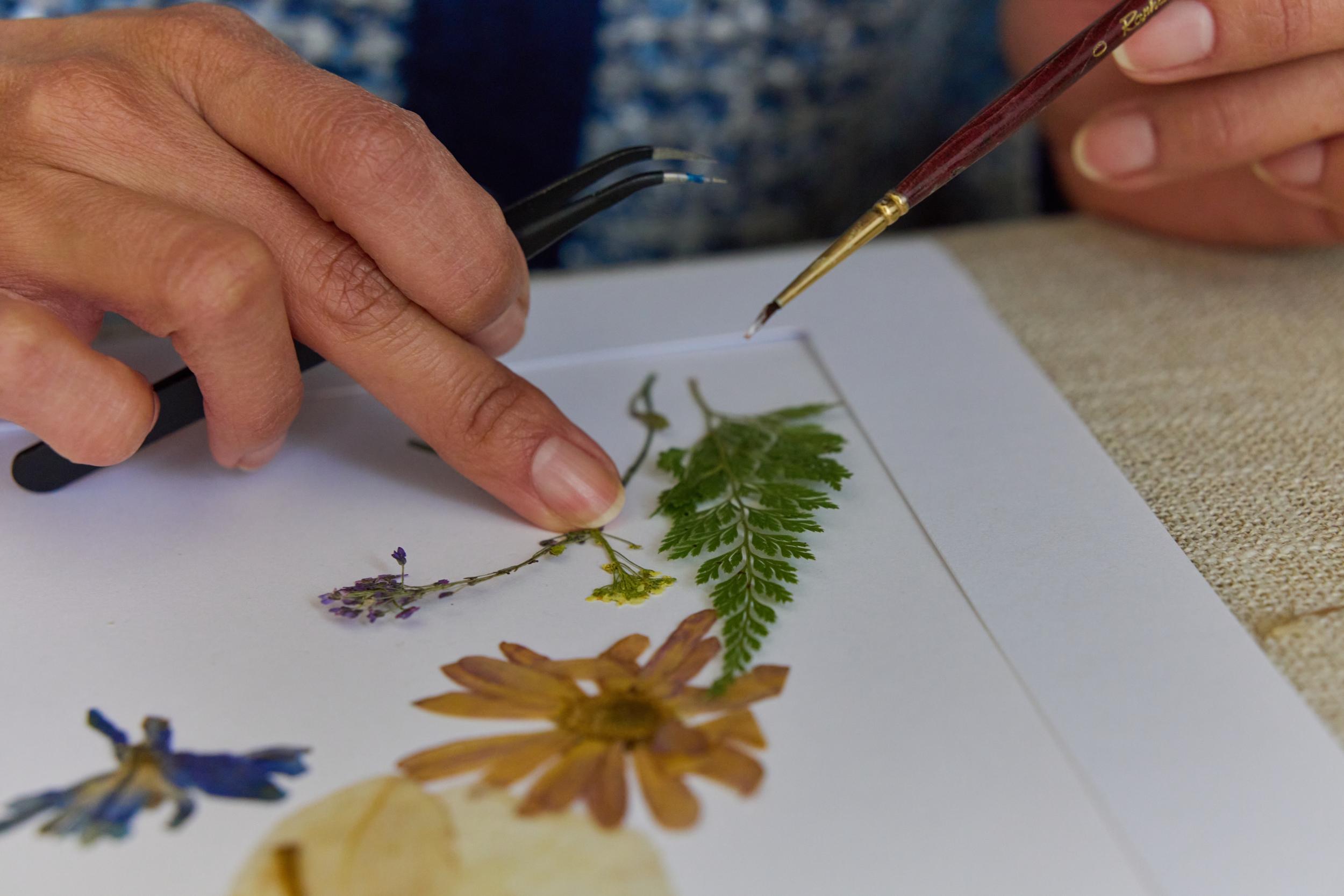 Réalisez votre herbier de fleurs séchées avec Claire - Image n°6 - Wecandoo