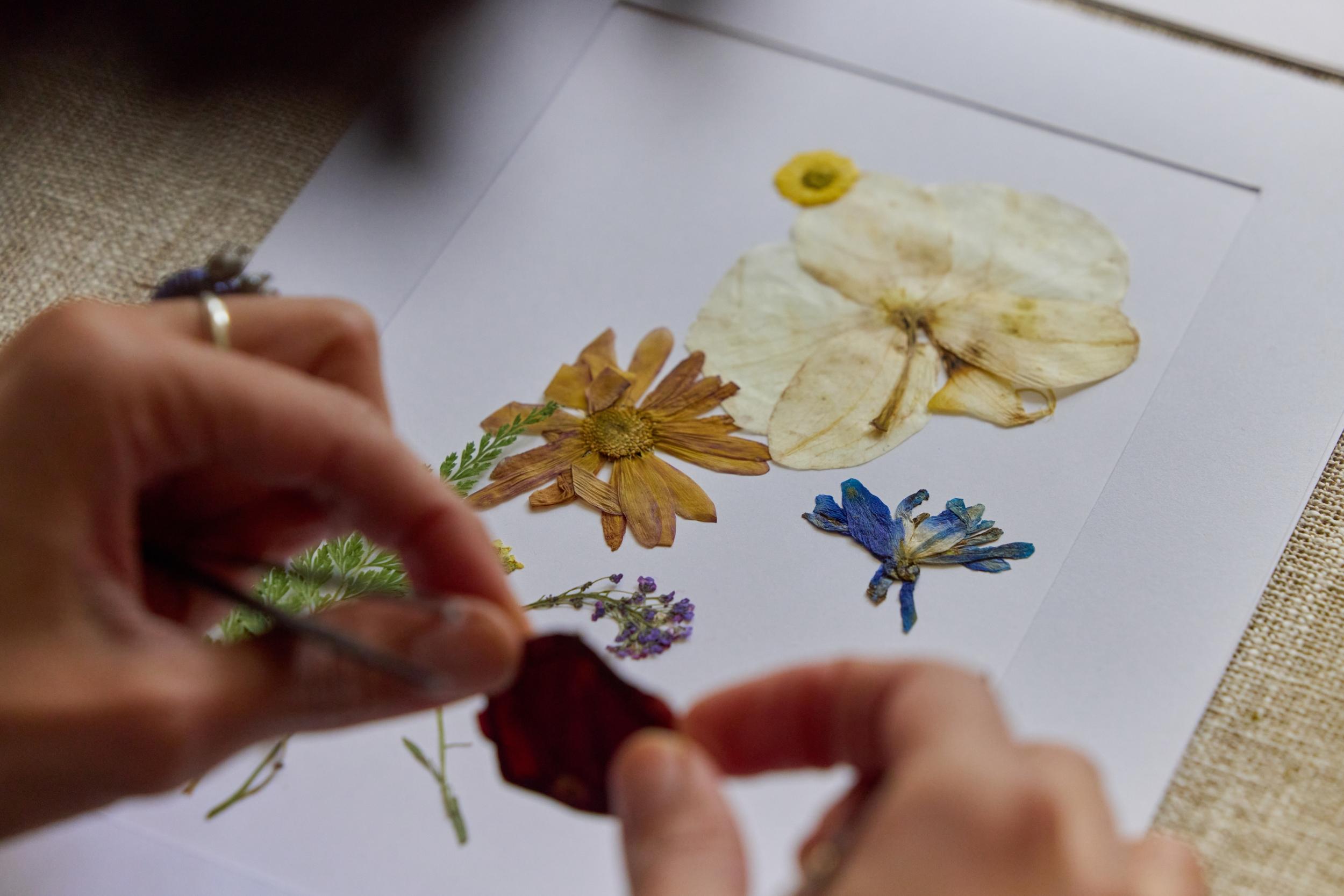 Réalisez votre herbier de fleurs séchées avec Claire - Image n°8 - Wecandoo