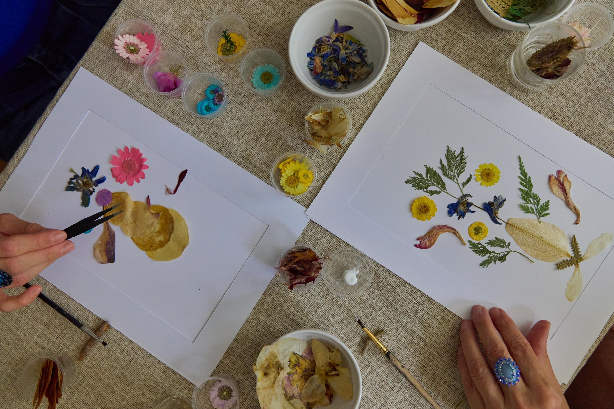 Réalisez votre herbier de fleurs séchées avec Claire - Image n°9 - Wecandoo